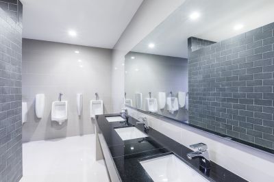 Accessible Bathroom detail