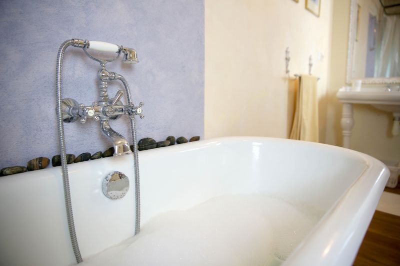Accessible Bathroom detail